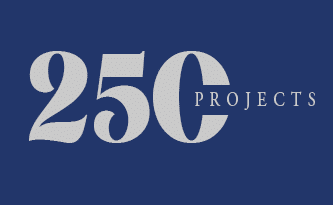 250+ Projects Completed